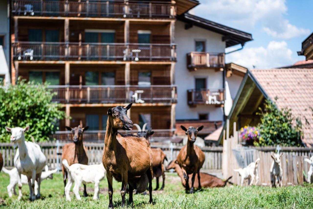 Sporthotel Exclusive San Vigilio Di Marebbe Bagian luar foto